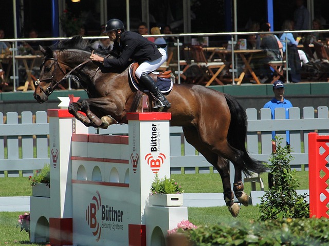 打破沉默，活塞队主帅谈及森林狼队教练在激烈冲突中的角色.