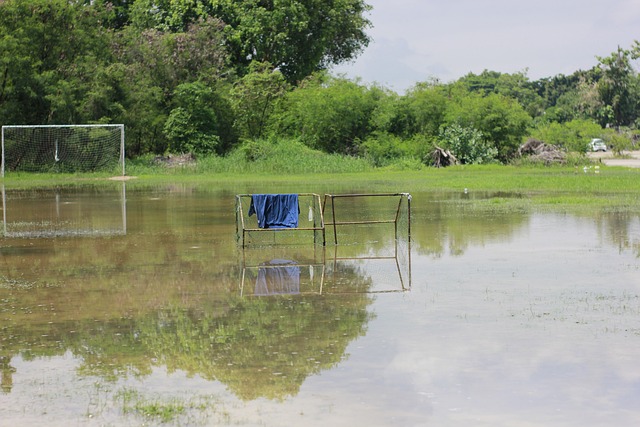 NBA常规赛：鹈鹕 98-94 险胜黄蜂，阿尔瓦拉多关键表现助力球队逆转.