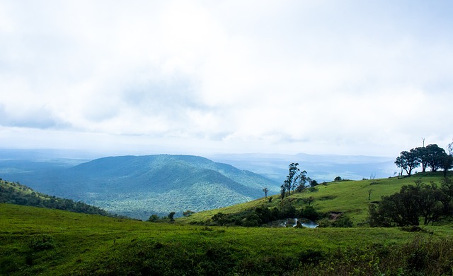 国足在主帅伊万科维奇的带领下，已开启一天一练的高强度训练模式.