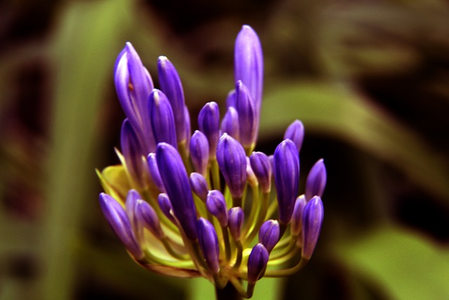 分的高效表 分的高效表