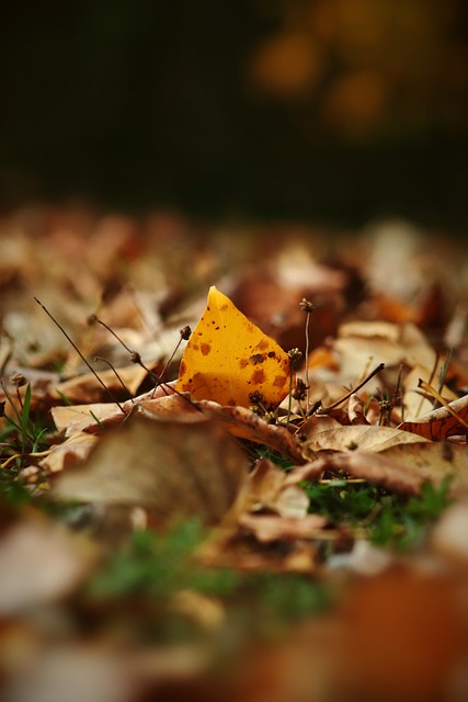 和无畏的气 和无畏的气