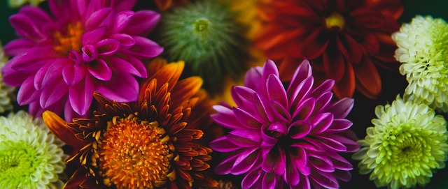 加油打气 加油打气