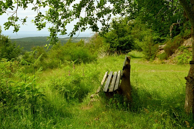 到了未来的 到了未来的