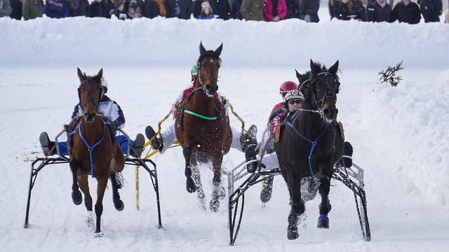 在足球世界 在足球世界